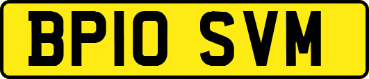BP10SVM