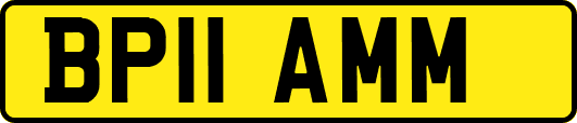 BP11AMM