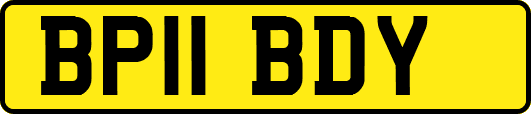 BP11BDY