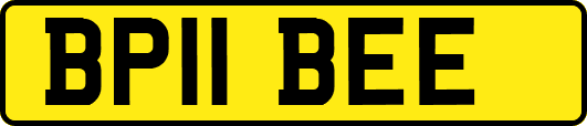 BP11BEE