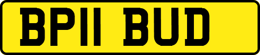 BP11BUD