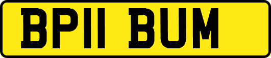 BP11BUM