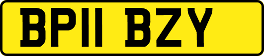 BP11BZY