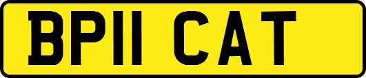 BP11CAT