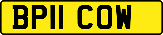 BP11COW