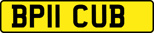 BP11CUB