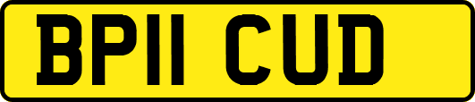 BP11CUD