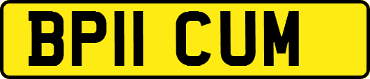 BP11CUM