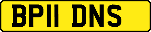 BP11DNS
