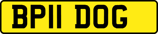 BP11DOG