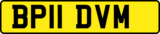 BP11DVM