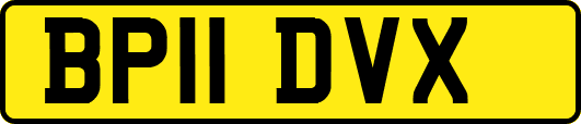 BP11DVX