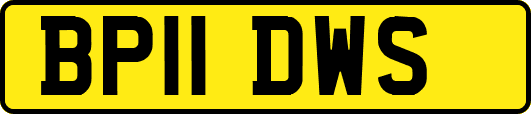 BP11DWS