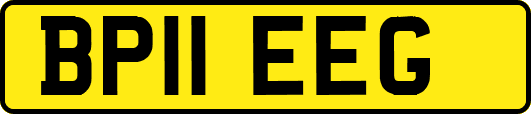 BP11EEG