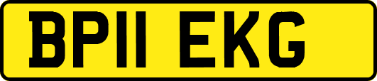 BP11EKG
