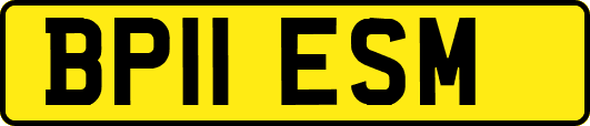 BP11ESM