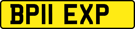 BP11EXP