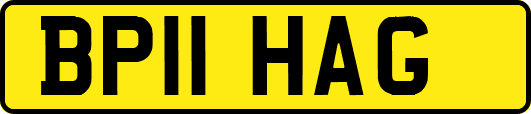 BP11HAG