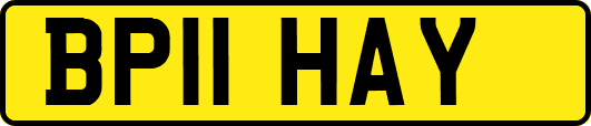 BP11HAY