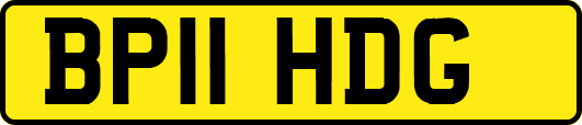 BP11HDG