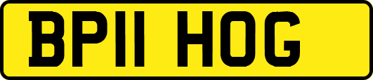 BP11HOG