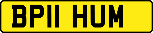 BP11HUM
