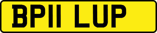 BP11LUP
