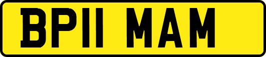 BP11MAM
