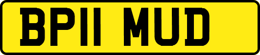 BP11MUD