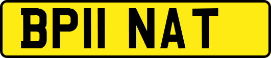 BP11NAT