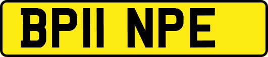 BP11NPE