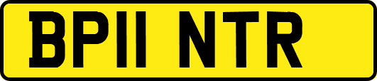 BP11NTR