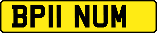 BP11NUM