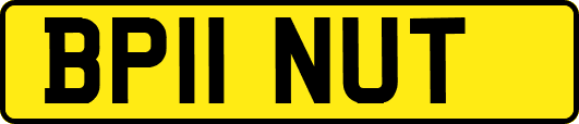 BP11NUT