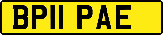 BP11PAE