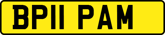 BP11PAM