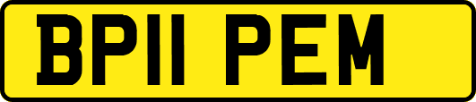 BP11PEM
