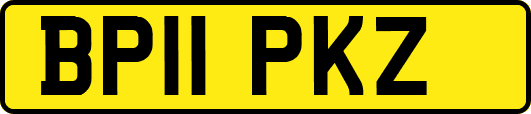 BP11PKZ