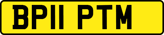 BP11PTM