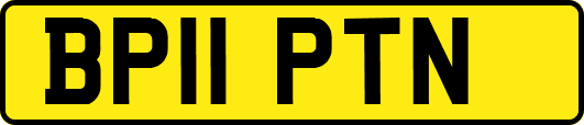 BP11PTN