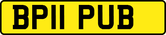 BP11PUB
