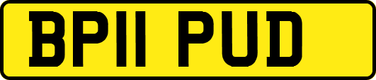 BP11PUD