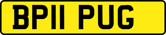 BP11PUG