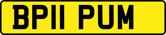 BP11PUM