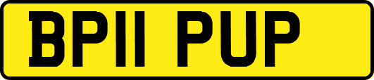 BP11PUP