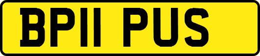 BP11PUS