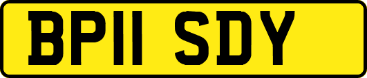 BP11SDY