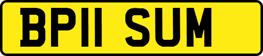 BP11SUM