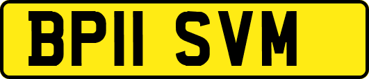 BP11SVM