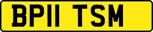 BP11TSM